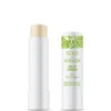 ARGAN GOLD STICK LABBRA 5 G