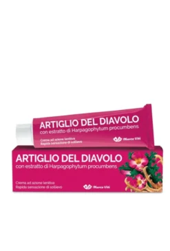 ARTIGLIO DEL DIAVOLO CREMA 100 ML