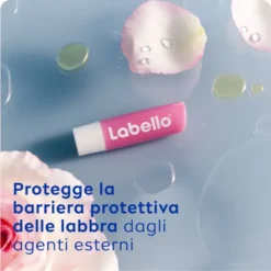 Burrocacao Labello Soft Rose colorato, idratante 5,5ml