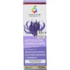 COLOURS OF LIFE SKIN SUPPLEMENT ARTIGLIO DEL DIAVOLO 33% CREMA 100 ML
