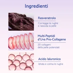 Crema Cashmere RVLift ridensificante viso e collo, 50ml