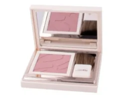 DEFENCE COLOR PRETTY TOUCH FARD COMPATTO 303 BOIS DE ROSE