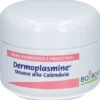 DERMOPLASMINE MOUSSE 20 G