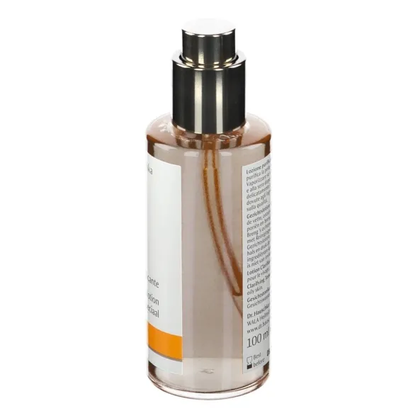 DR HAUSCHKA LOZ PURIFICANTE 100ML