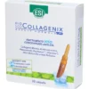 ESI BIOCOLLAGENIX 30 AMPOLLE DA 1,8 ML
