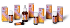 FITOMEDICAL MENTA PIPERITA OLIO ESSENZIALE 10 ML