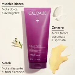 GEL DOCCIA THE DES VIGNES 200 ML