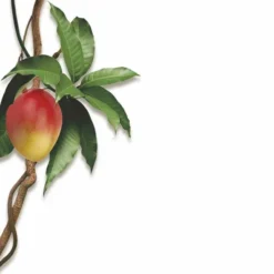 KLORANE BALSAMO AL MANGO 200 ML