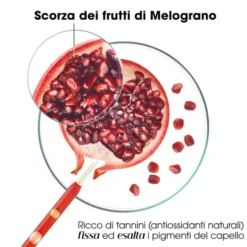 KLORANE SHAMPOO MELOGRANO 400 ML