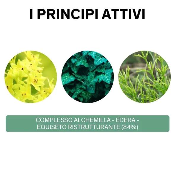 LIERAC PHYTOLASTIL SOLUTE 75 ML