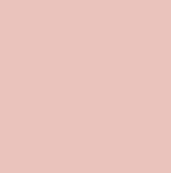 MINICOLOROLOR ROSE SHELL