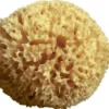 MOOD SPUGNA MAR MEDITERRANEO ARCIPELAGO GREZZA 11/12CM