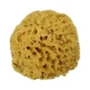 MOOD SPUGNA MAR MEDITERRANEO ARCIPELAGO GREZZA 9/10CM