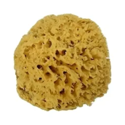 MOOD SPUGNA MAR MEDITERRANEO ARCIPELAGO GREZZA 9/10CM