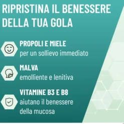 NEOBOROCILLINA PROPOLMIELE+ MIELE/EUCALIPTO 16 PASTIGLIE DA 3,4 G