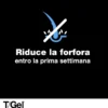 NEUTROGENA T/GEL SHAMPOO FORTE 150 ML