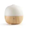 PURAE PURAE DIFFUSORE AD ULTRASUONI ABIES