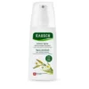 RAUSCH SPRAY DISTRICANTE ALLE ERBE SVIZZERE 100 ML