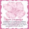 Salviettine Struccanti Lenitive Acqua alle Rose, 20 pezzi