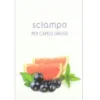 Shampoo Derbe Anti Untuosità per capelli grassi 200ml