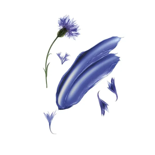 Shampoo Klorane alla Centaurea per capelli grigi, 200ml