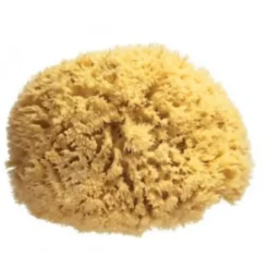 Spugna Naturale di Mare Safety Grande, per pelli delicate